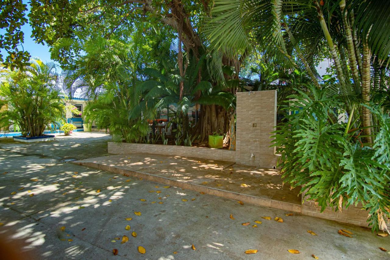 Albergue San Martín *