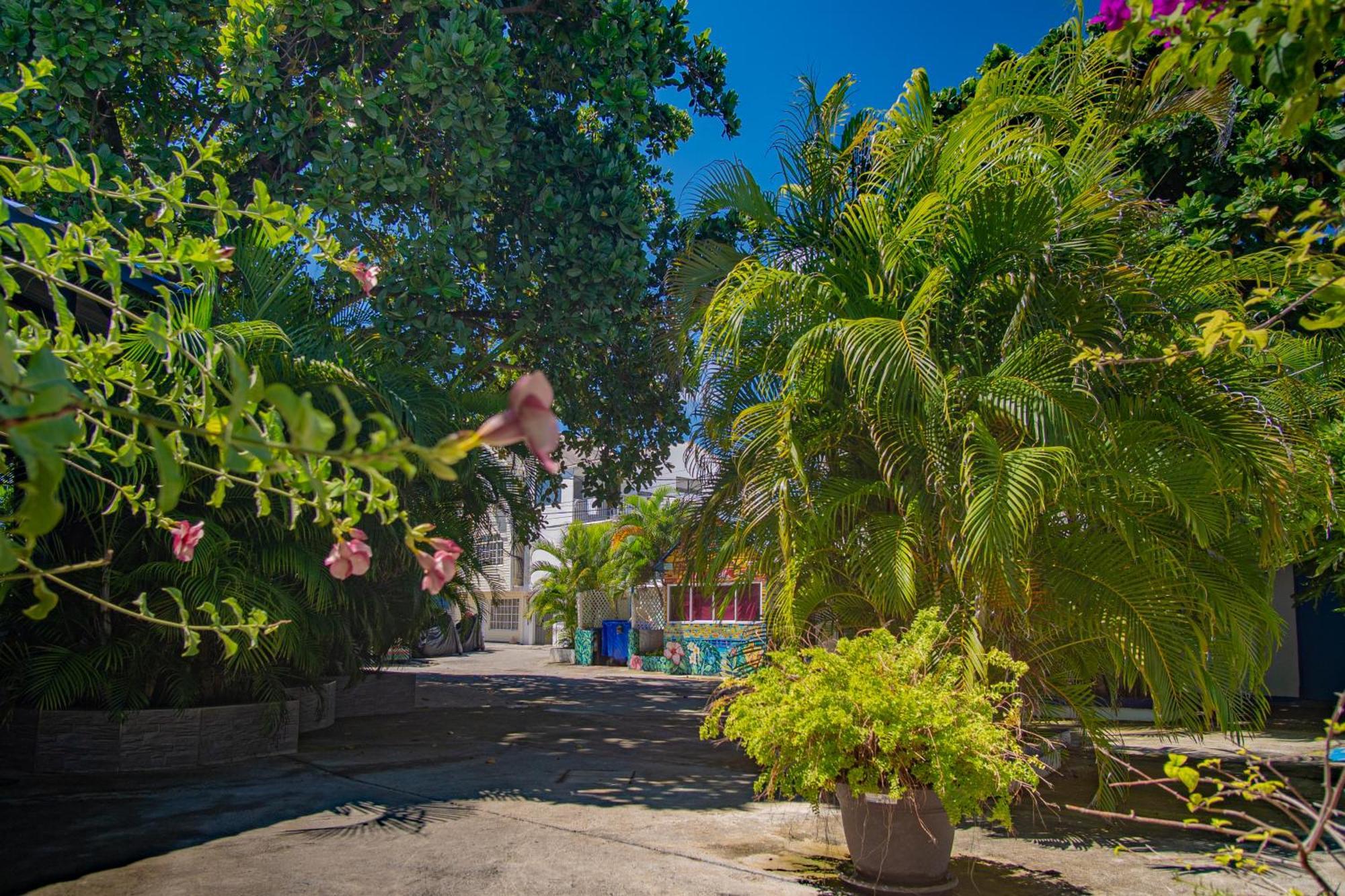 San Martin Hostel San Andres (San Andres and Providencia Islands)
